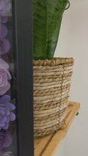 Load and play video in Gallery viewer, MOM Paper Flower Shadowbox
